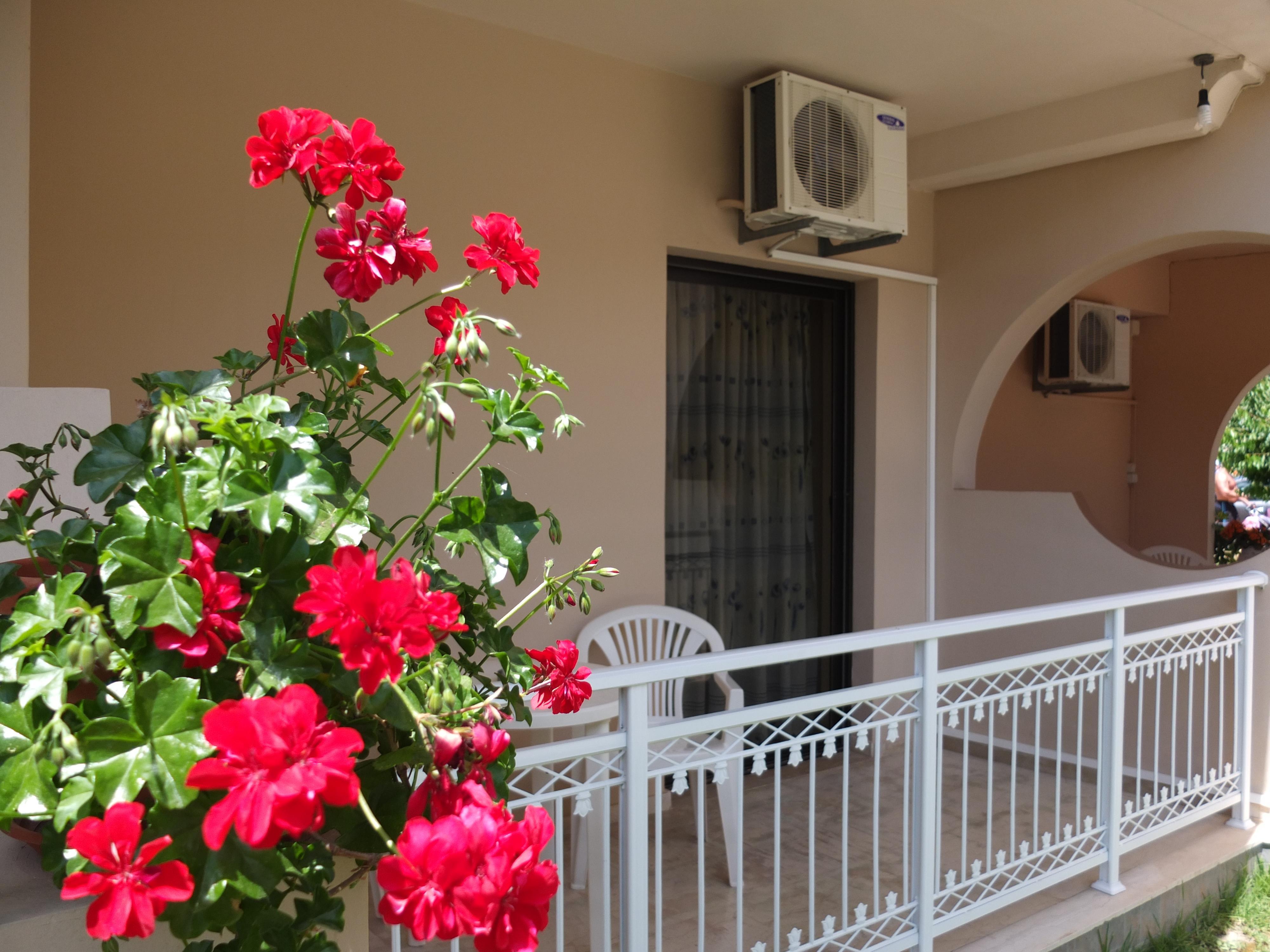 Toula's Apartament *